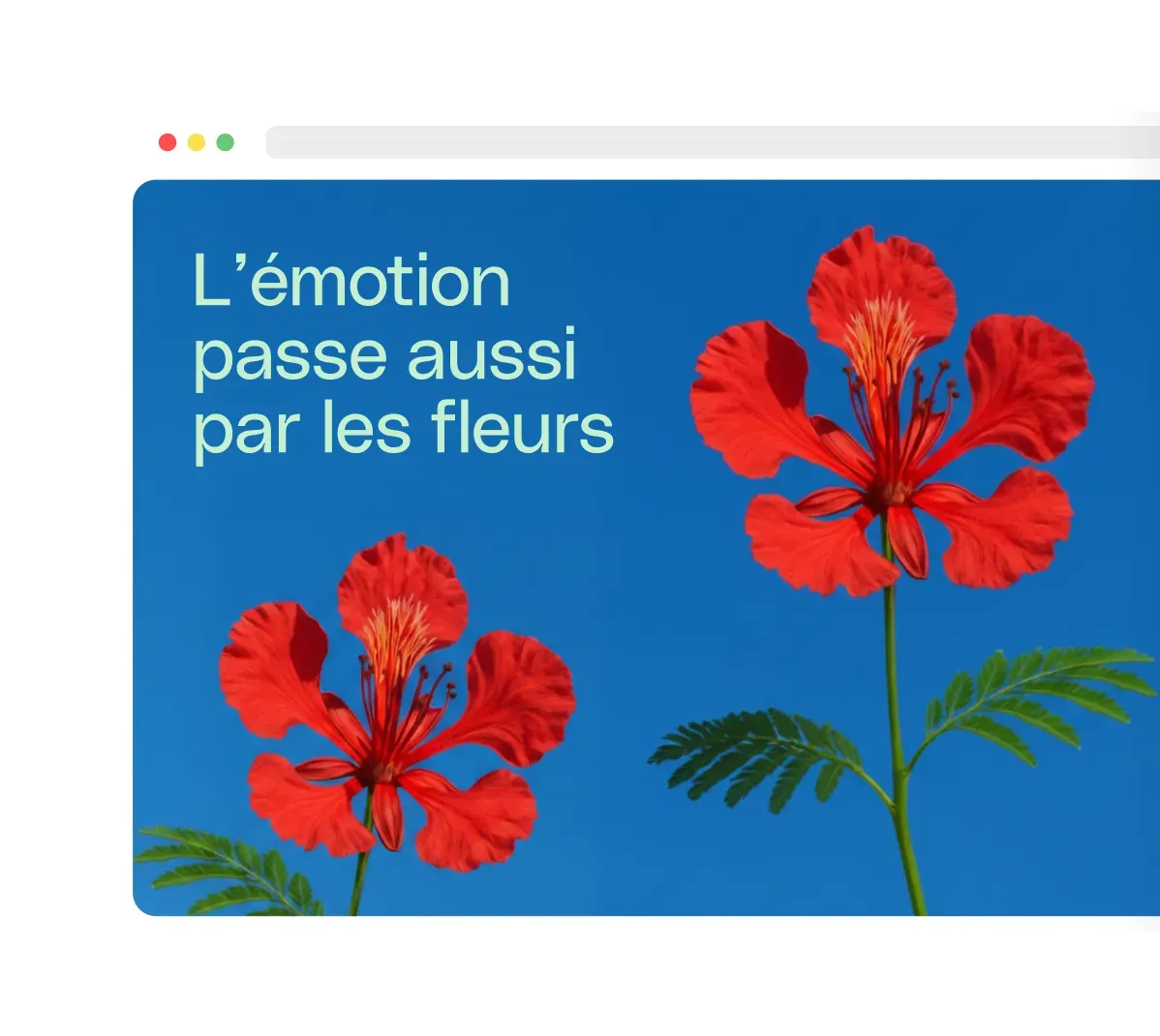 Se démarquer de la concurrence
