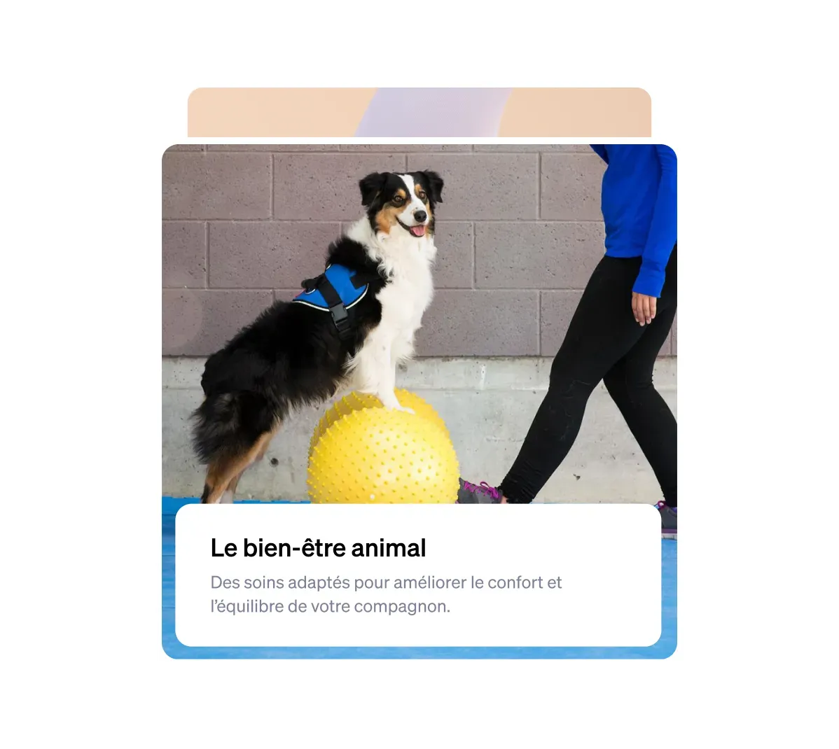 Renforcer votre crédibilité