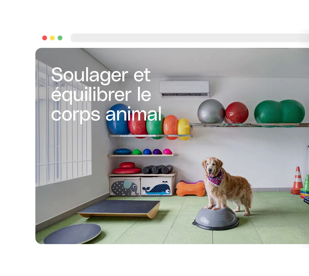 Se démarquer de la concurrence