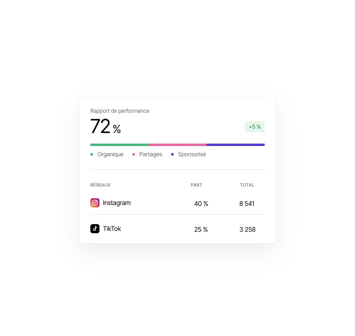 Rapport de performance mensuel par réseau, Instagram et TikTok