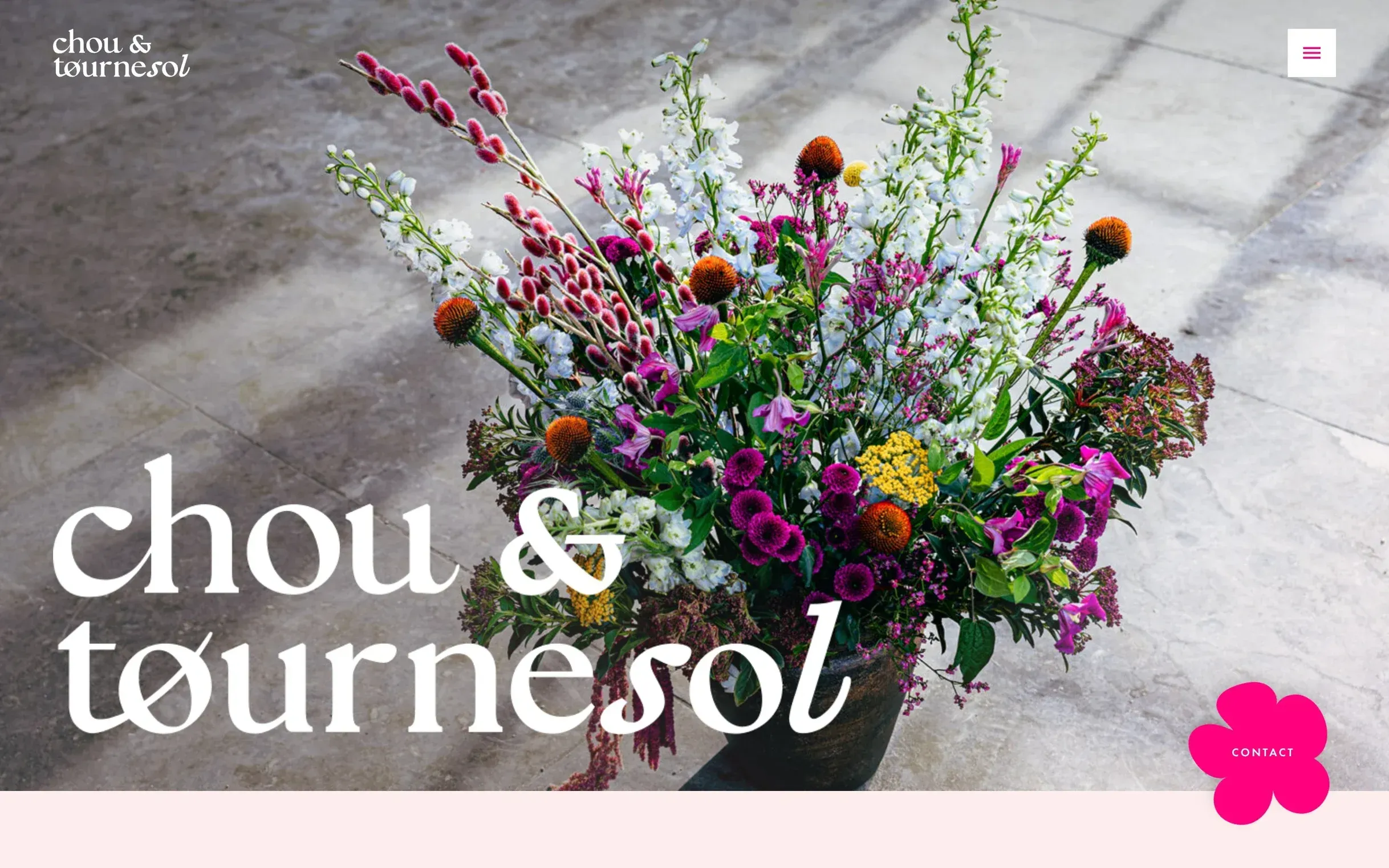 Page d’accueil du site de Chou & Tournesol