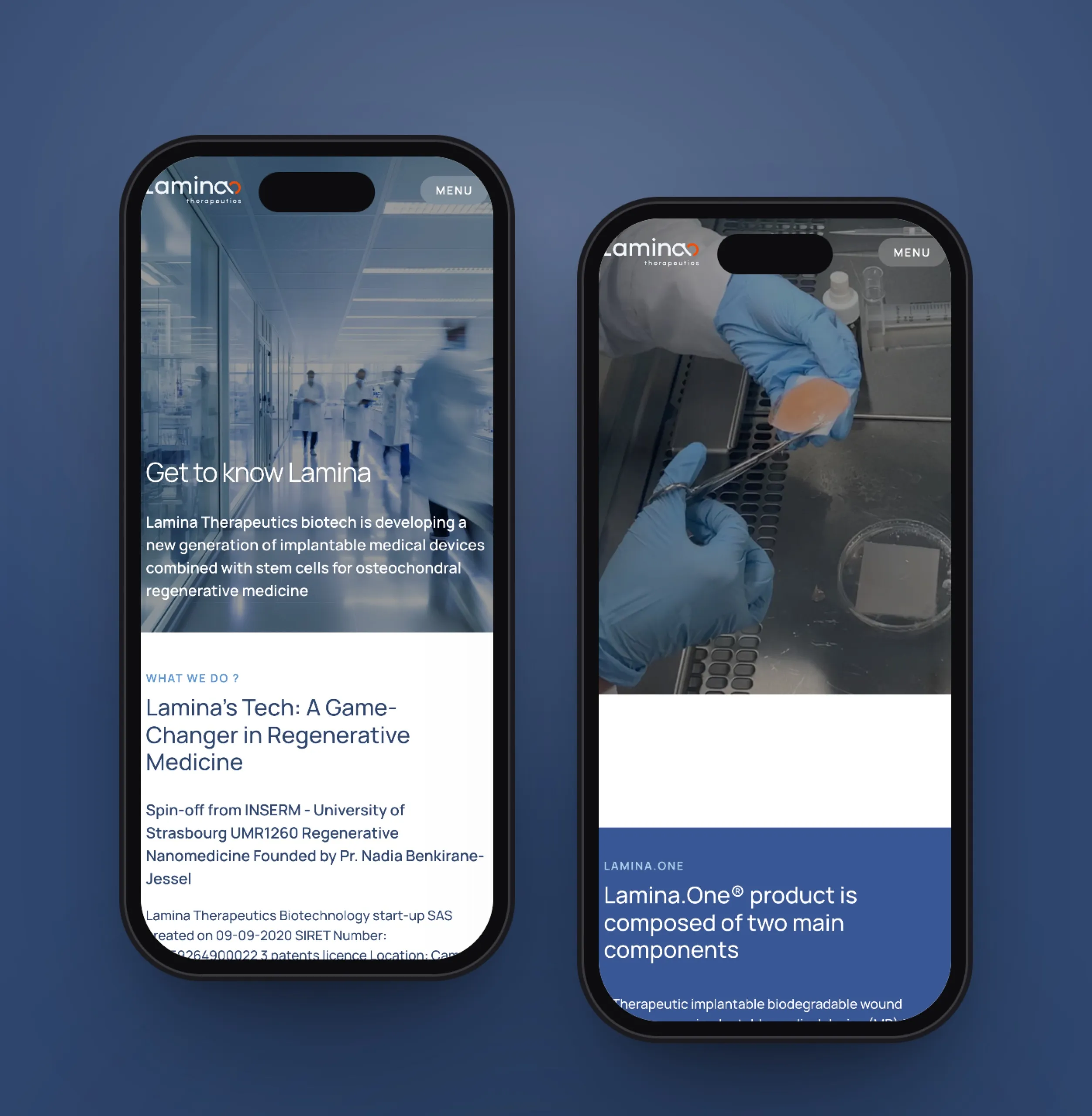 Deux pages du site de Lamina Therapeutics sur smartphone