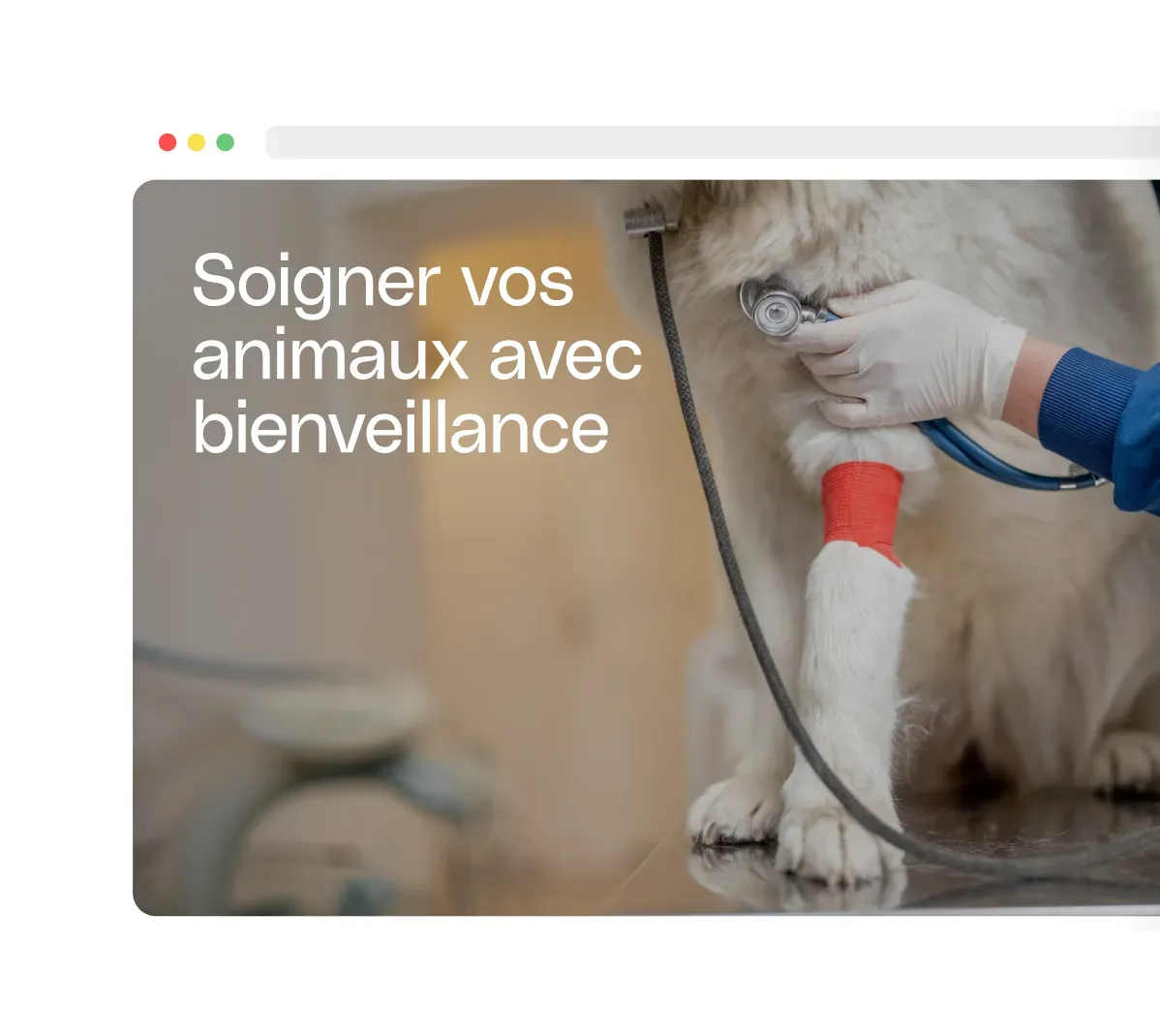 Se démarquer de la concurrence